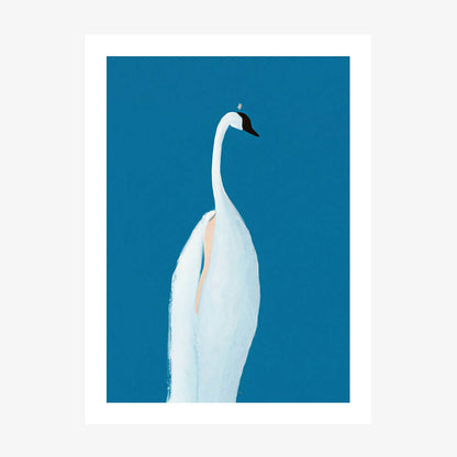 Swan Maybe