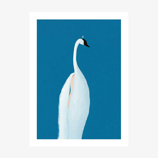 Swan Maybe