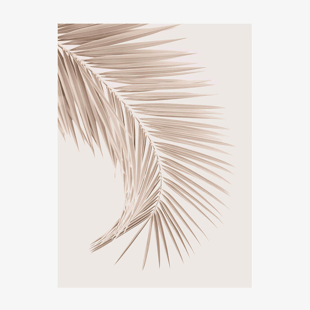 Tan Leaf