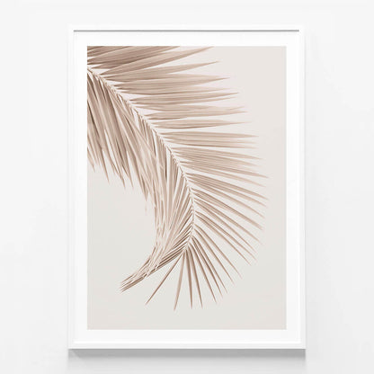 Tan Leaf