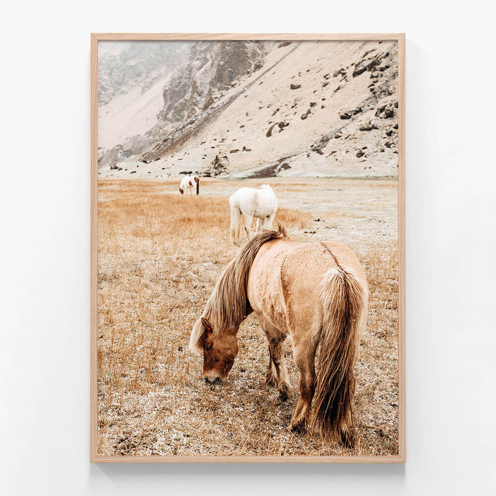 Tan Mare No. 2