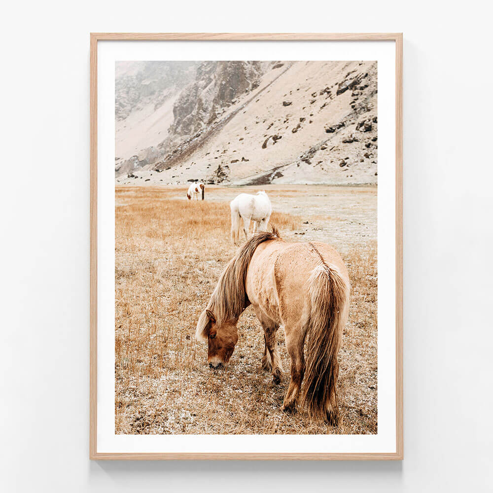 Tan Mare No. 2