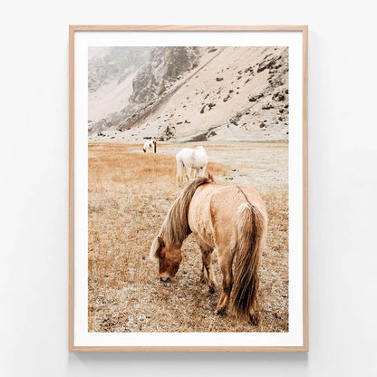 Tan Mare No. 2