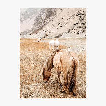 Tan Mare No. 2