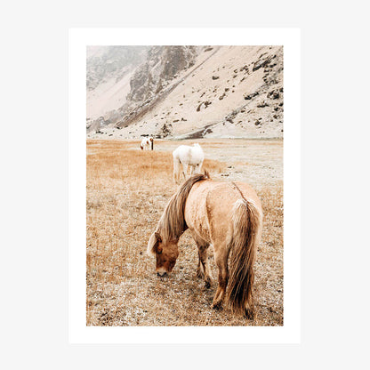 Tan Mare No. 2