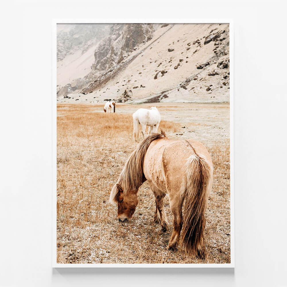 Tan Mare No. 2