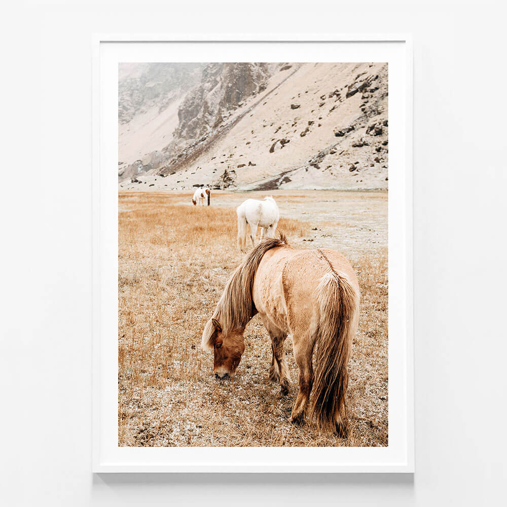 Tan Mare No. 2