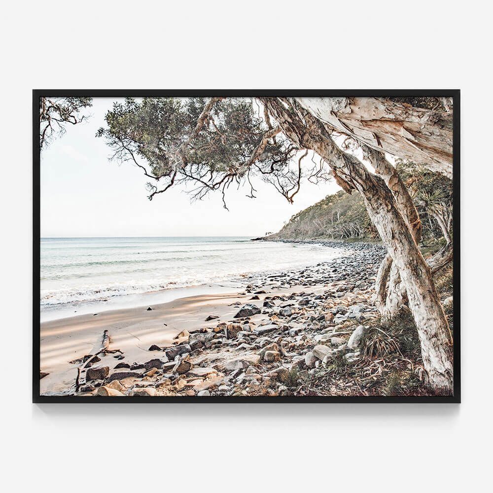 Tea Tree Bay Beach