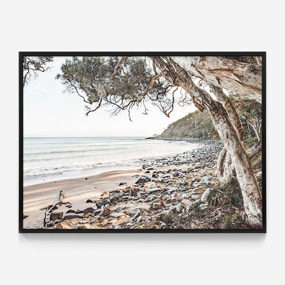 Tea Tree Bay Beach
