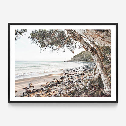 Tea Tree Bay Beach