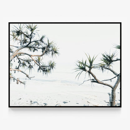 Tea Tree Bay Beach Canvas