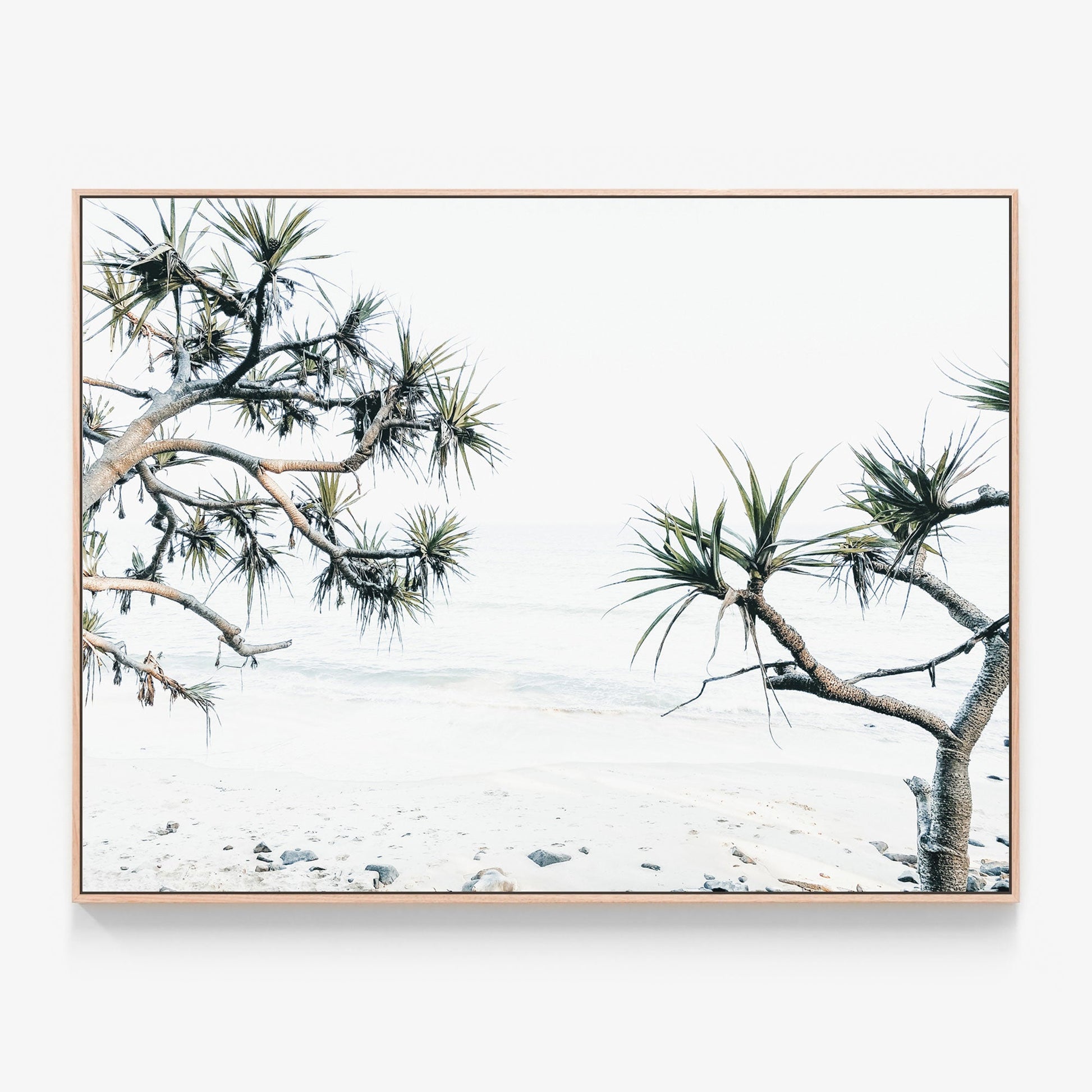 Tea Tree Bay Beach Canvas wall art with oak float frame