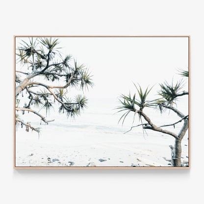 Tea Tree Bay Beach Canvas wall art with oak float frame