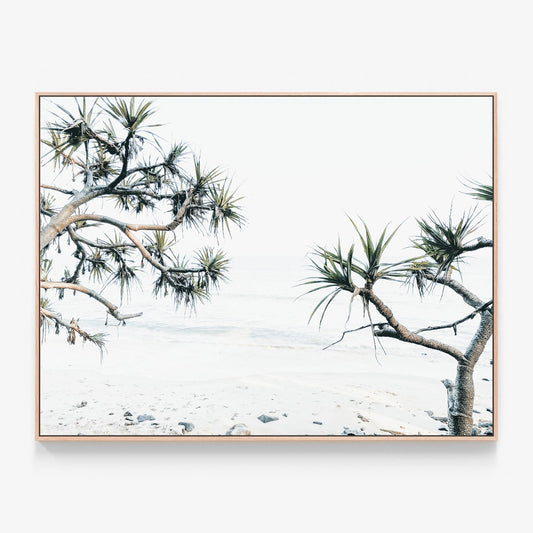 Tea Tree Bay Beach Canvas wall art with oak float frame