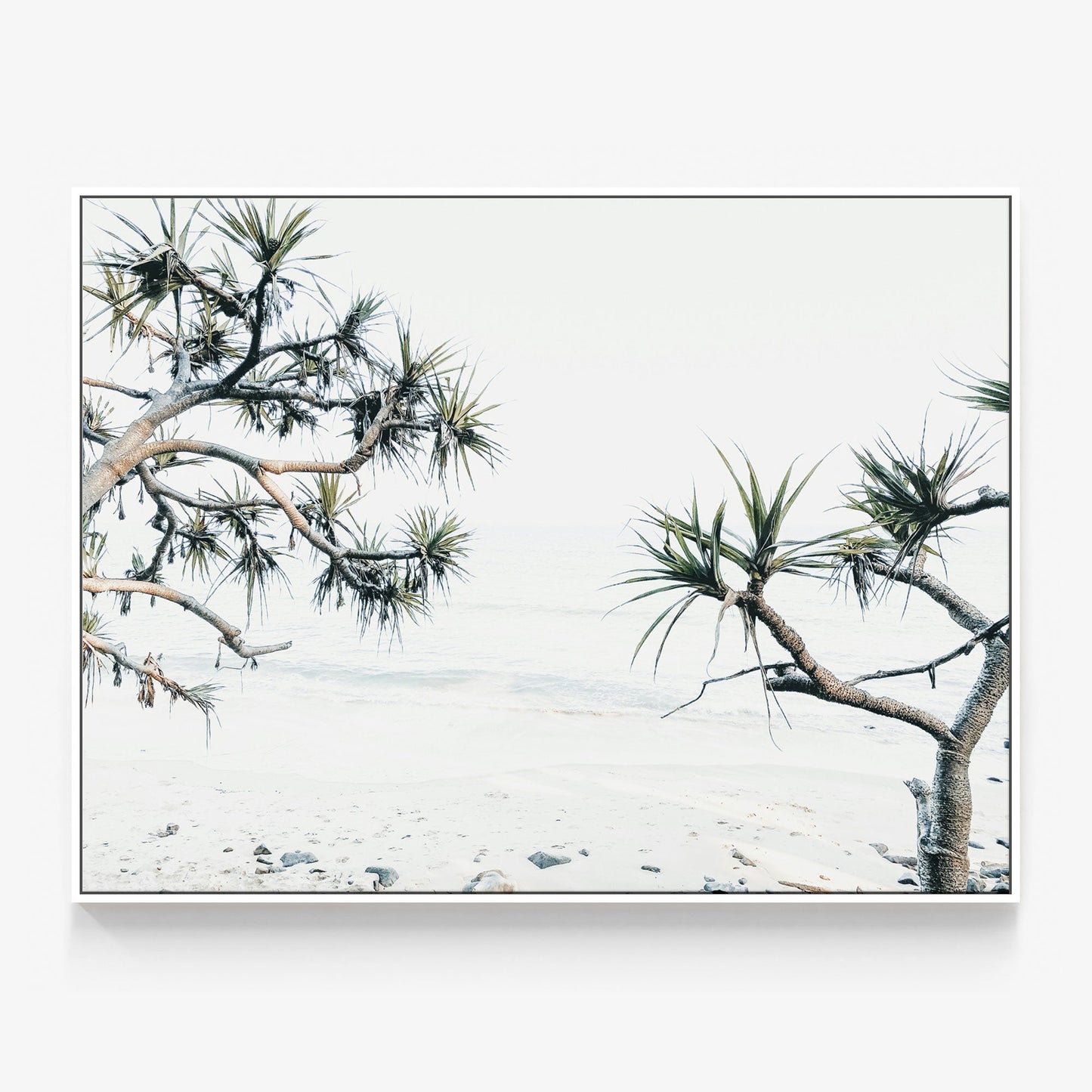 Tea Tree Bay Beach Canvas