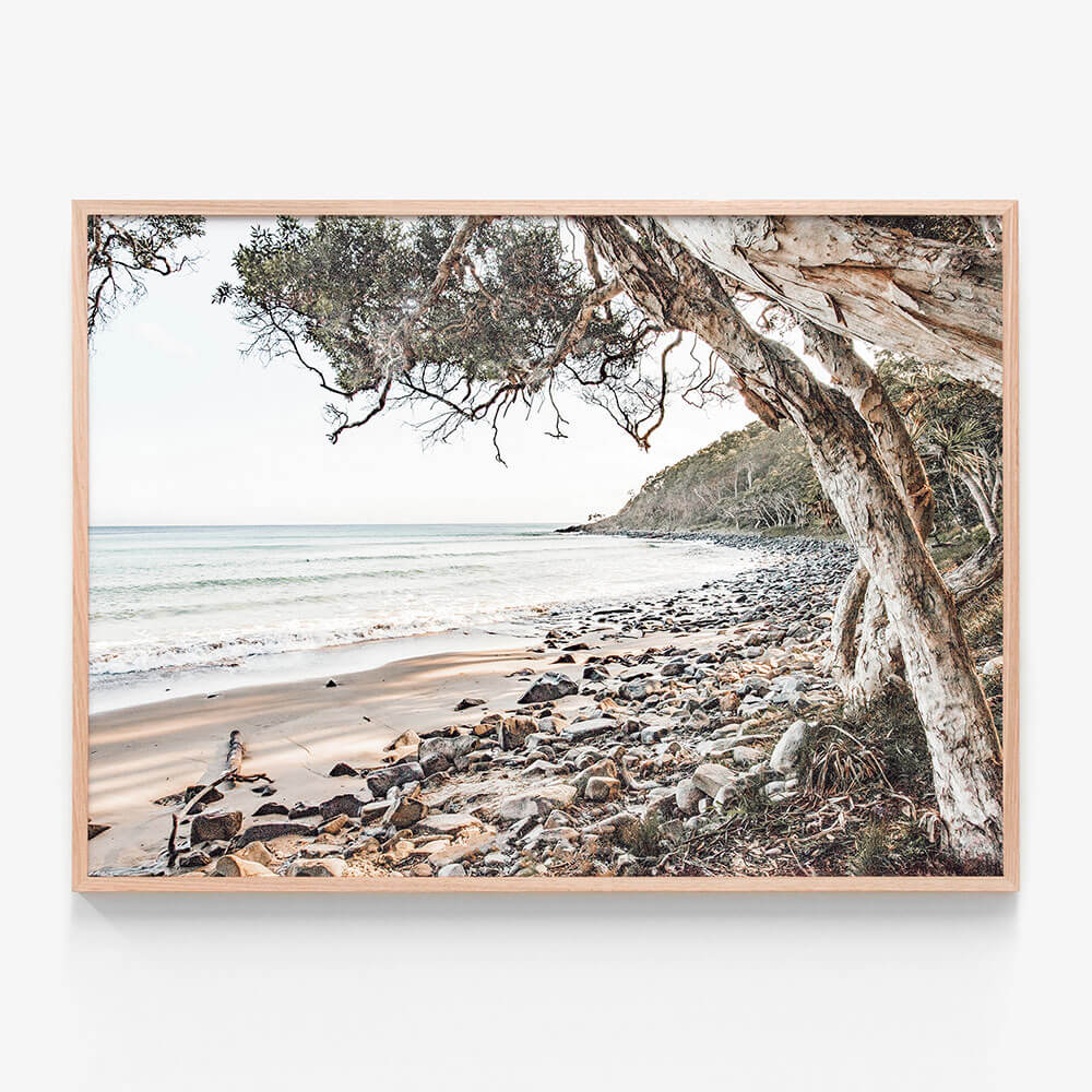 Tea Tree Bay Beach