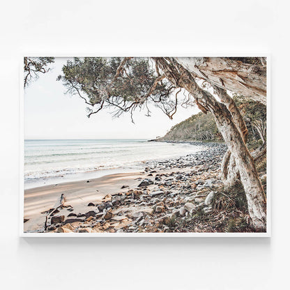 Tea Tree Bay Beach