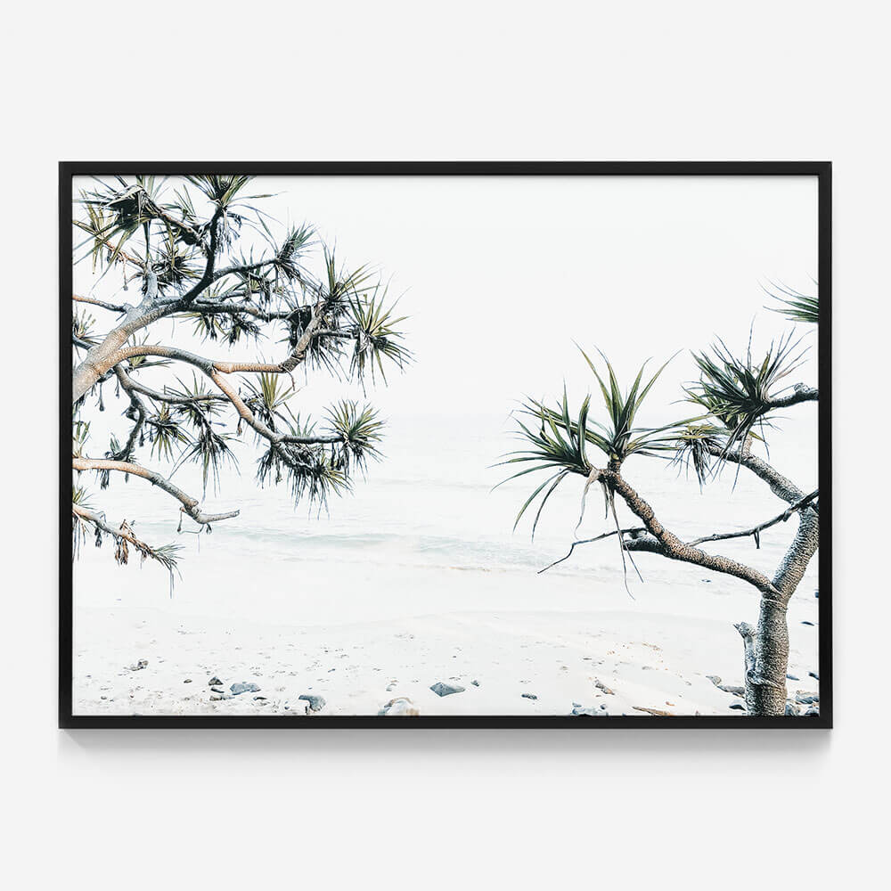Tea Tree Bay
