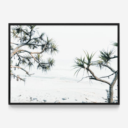 Tea Tree Bay