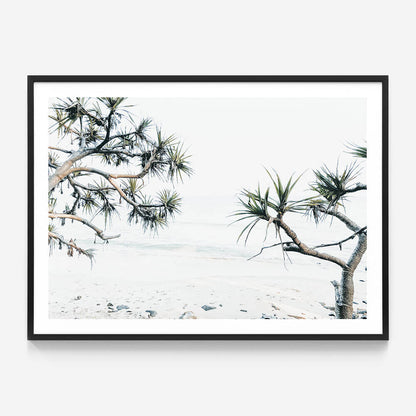 Tea Tree Bay