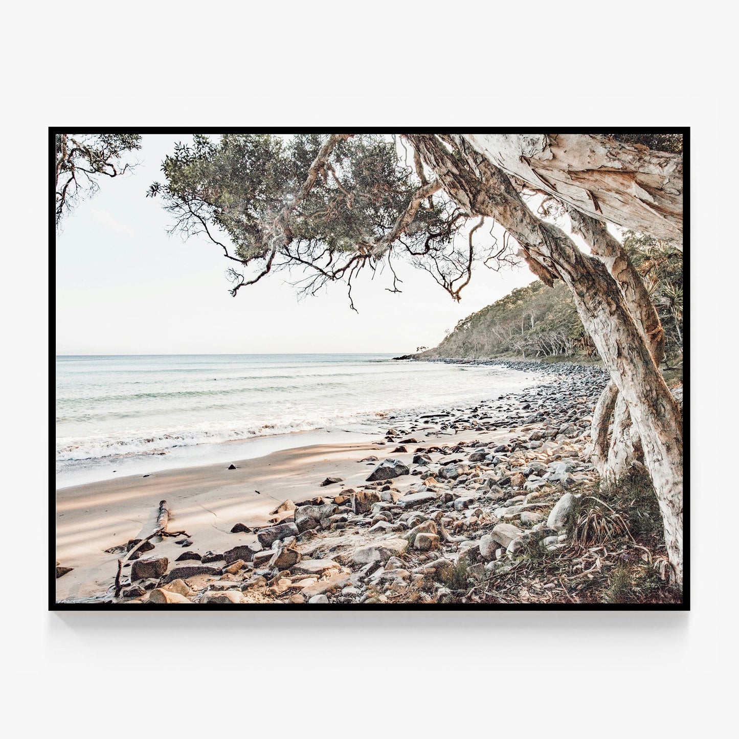 Tea Tree Bay Canvas