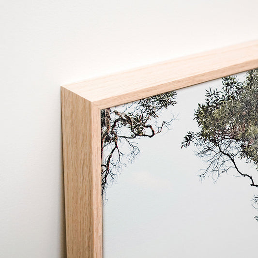 Tea Tree Bay Canvas corner detail