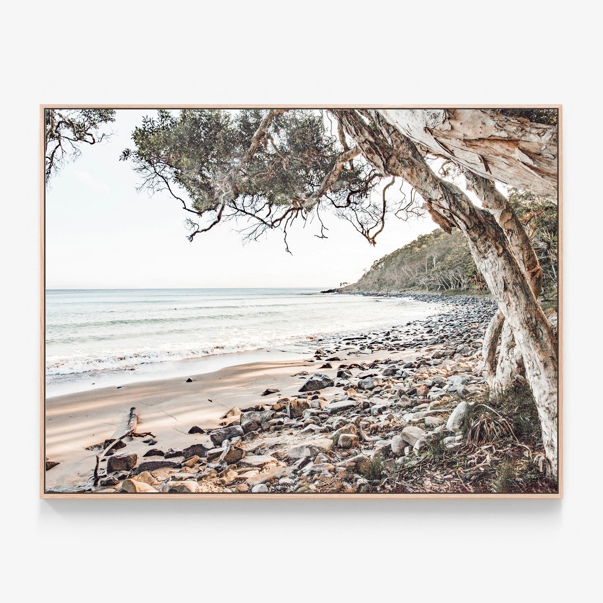 Tea Tree Bay beach photo Canvas wall art print with oak float frame