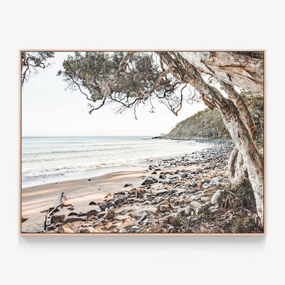Tea Tree Bay beach photo Canvas wall art print with oak float frame