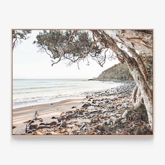 Tea Tree Bay beach photo Canvas wall art print with oak float frame