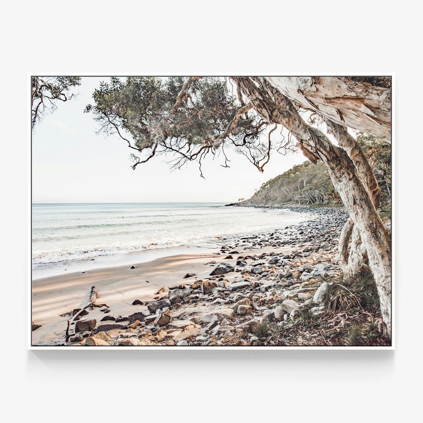 Tea Tree Bay Canvas
