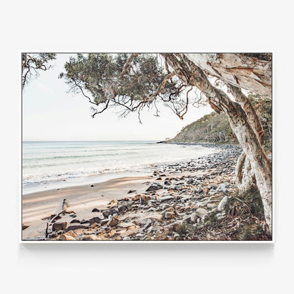 Tea Tree Bay Canvas
