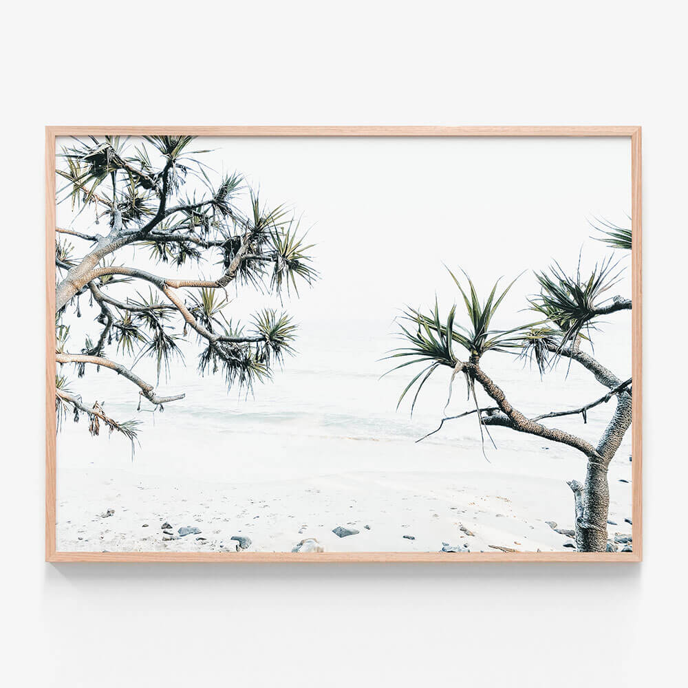 Tea Tree Bay