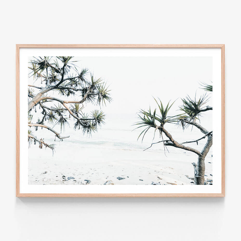 Tea Tree Bay wall art print in oak frame