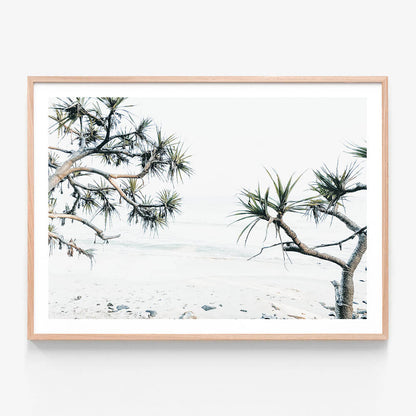 Tea Tree Bay wall art print in oak frame