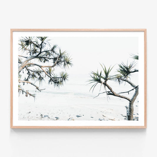 Tea Tree Bay wall art print in oak frame
