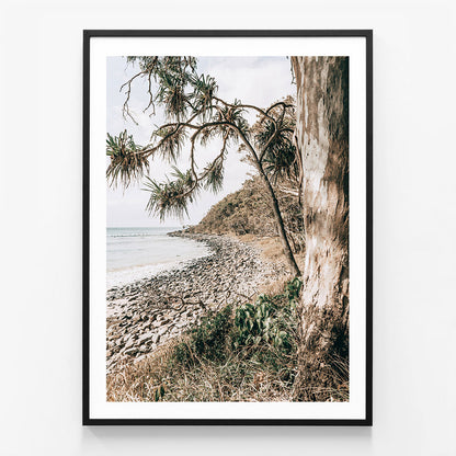 Tea Tree Bay Shore