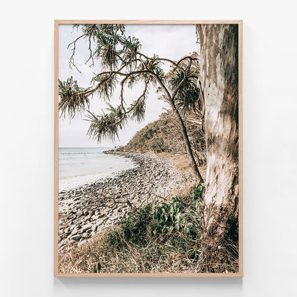 Tea Tree Bay Shore