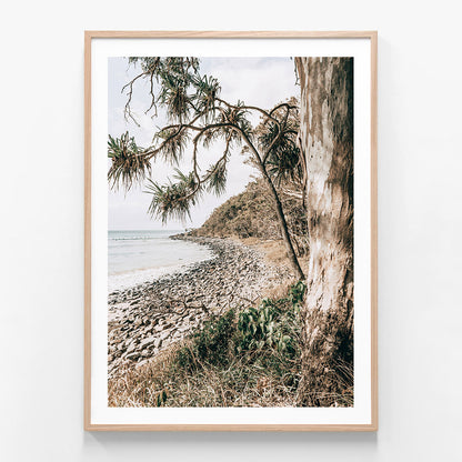 Tea Tree Bay Shore