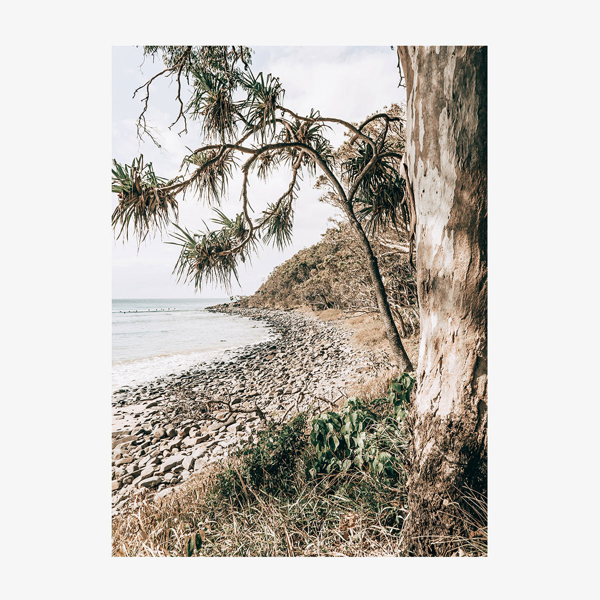 Tea Tree Bay Shore