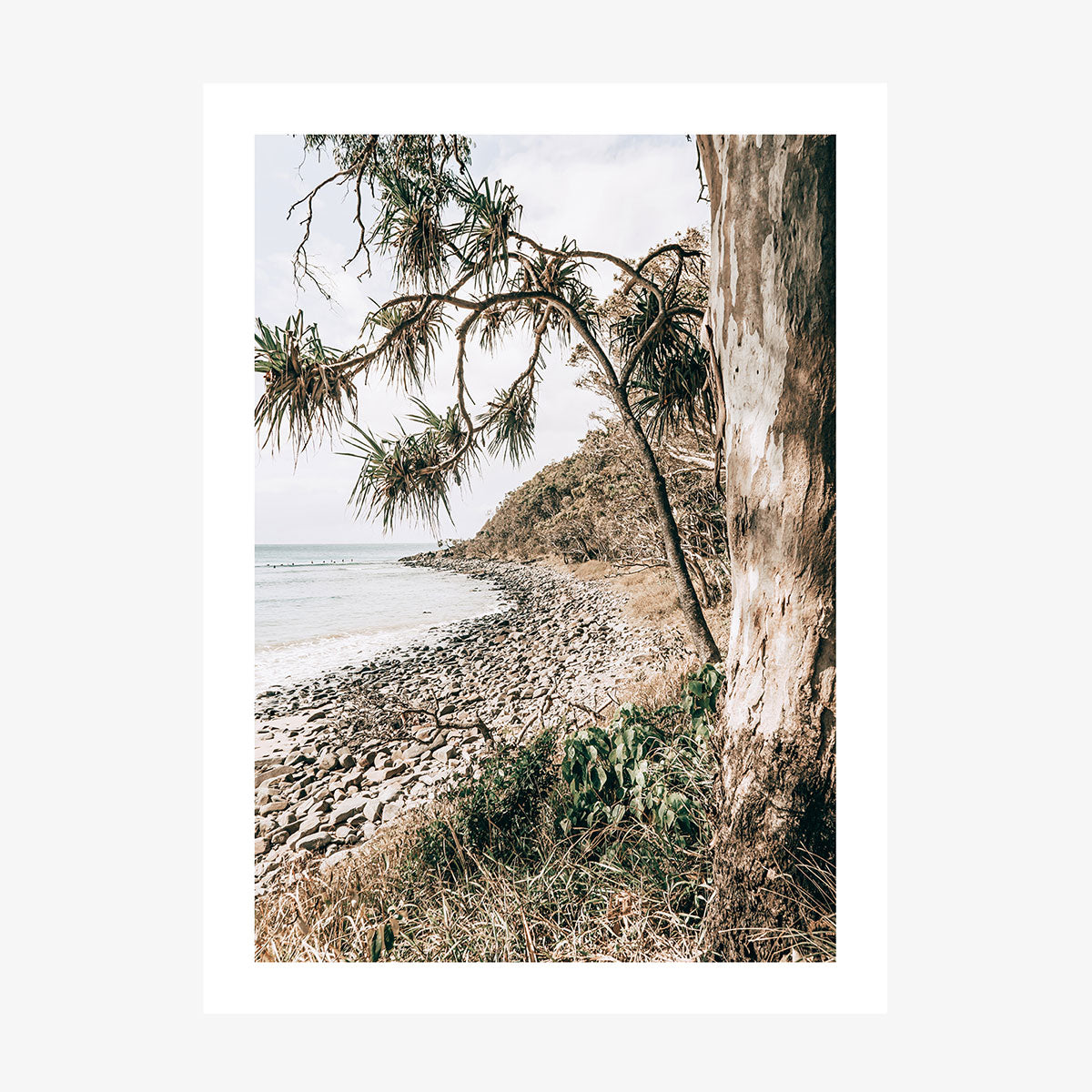 Tea Tree Bay Shore