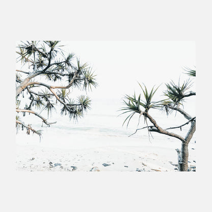 Tea Tree Bay
