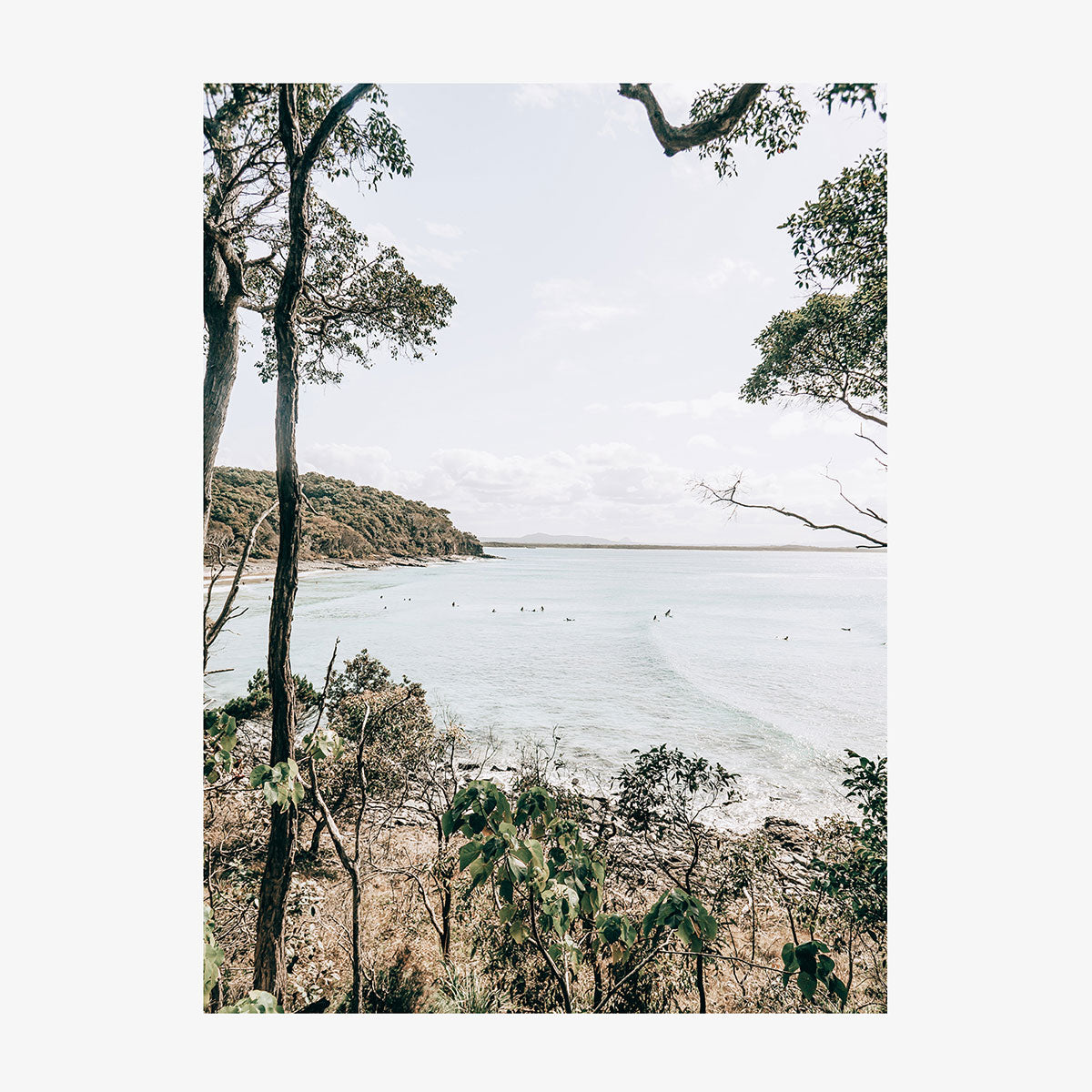 Tea Tree Bay View
