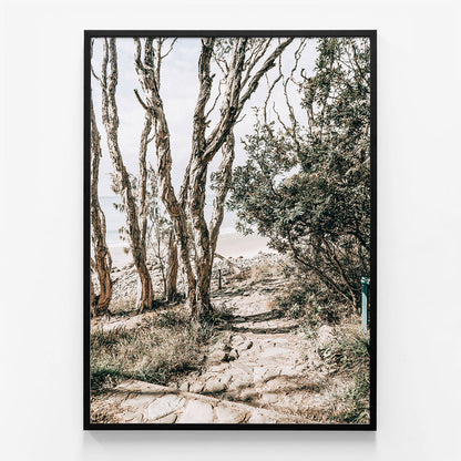 Tea Tree Bay Walk