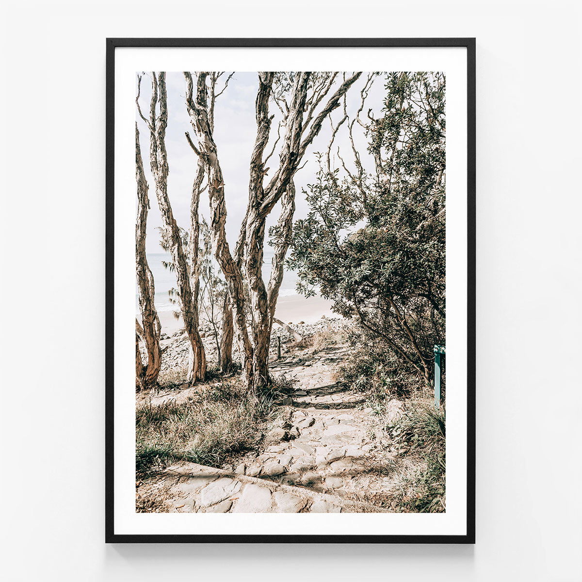 Tea Tree Bay Walk