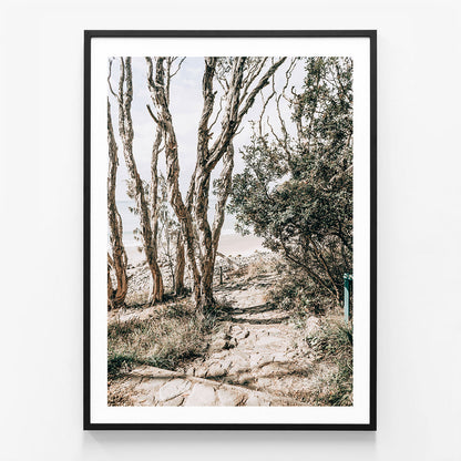 Tea Tree Bay Walk