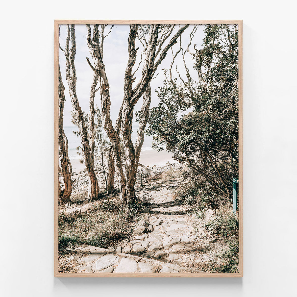 Tea Tree Bay Walk