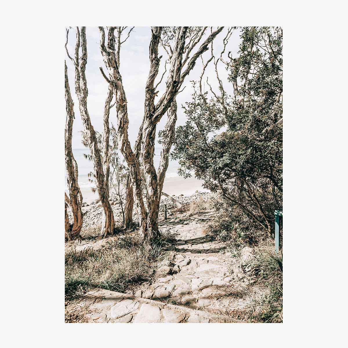 Tea Tree Bay Walk