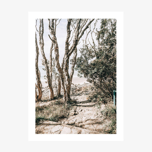 Tea Tree Bay Walk