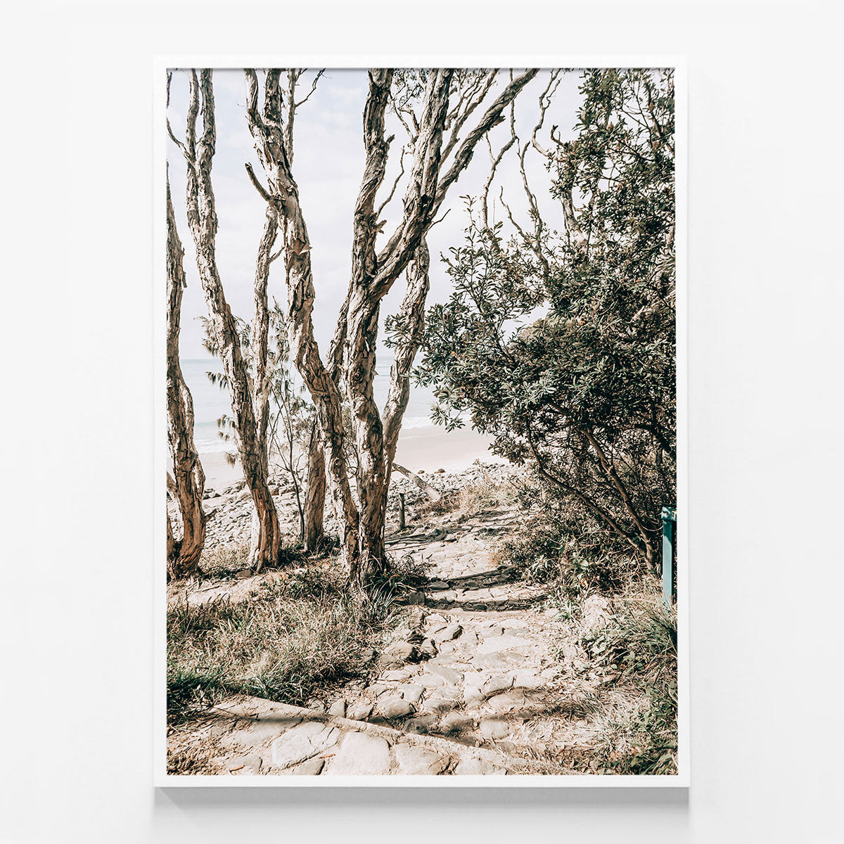 Tea Tree Bay Walk