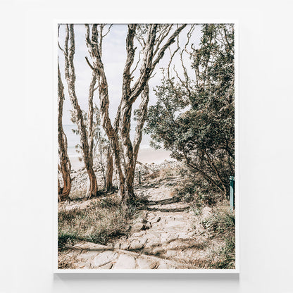 Tea Tree Bay Walk